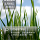 Image for article titled Meizu MiniOne UI Updated
